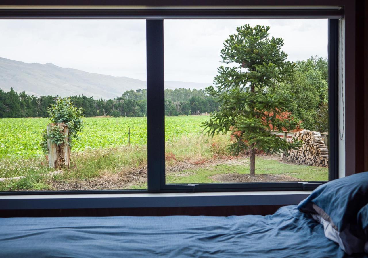 Honey Cottage In Ettrick Millers Flat Bagian luar foto