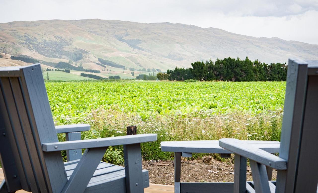 Honey Cottage In Ettrick Millers Flat Bagian luar foto